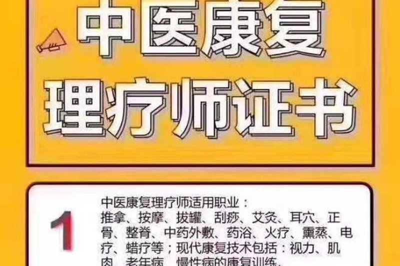 讲述一位虚构的老中医在现代都市中的传奇故事，让读者了解传统医学的魅力。